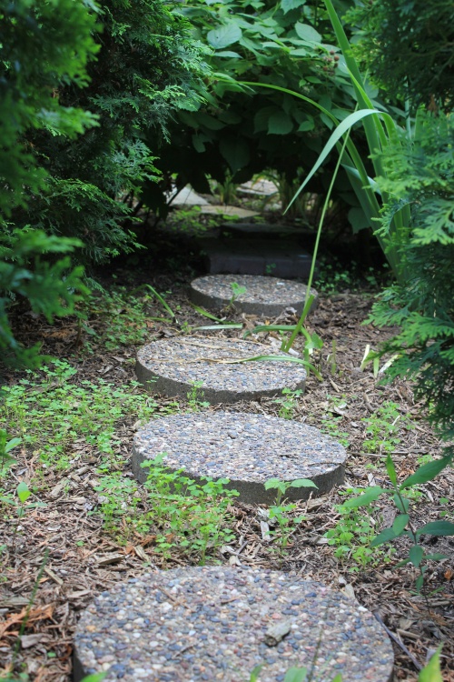 path through garden